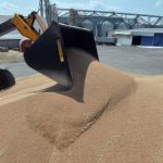 Odesa Ports Halt Pushes Ukraine to Launch Grain Backed Loans