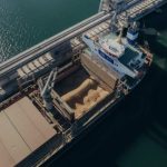 Russian Strikes on Ships Force Ukraine to Rethink Grain Routes