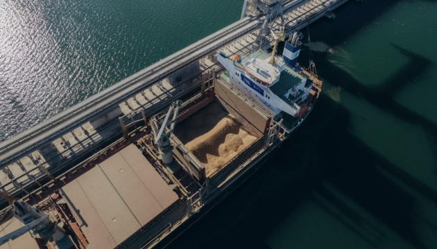 Russian Strikes on Ships Force Ukraine to Rethink Grain Routes