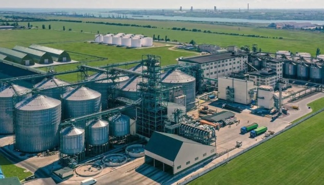 Sunflower Oil Giant Allseeds Pauses Production in Southern Ukraine