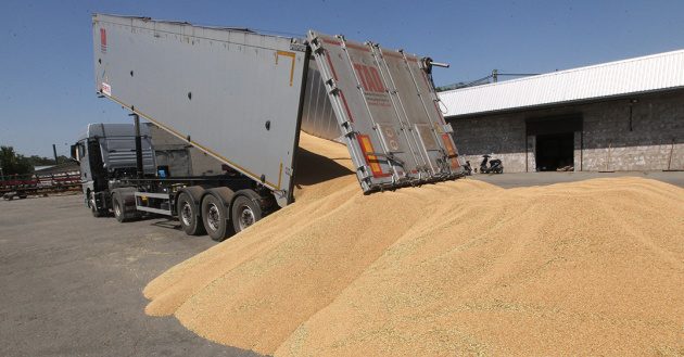 Ukraine Crop Production Falls 13.3 Percent in Six Month Period