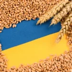 Ukraine Sets New Steps to Shield Grain Shipments