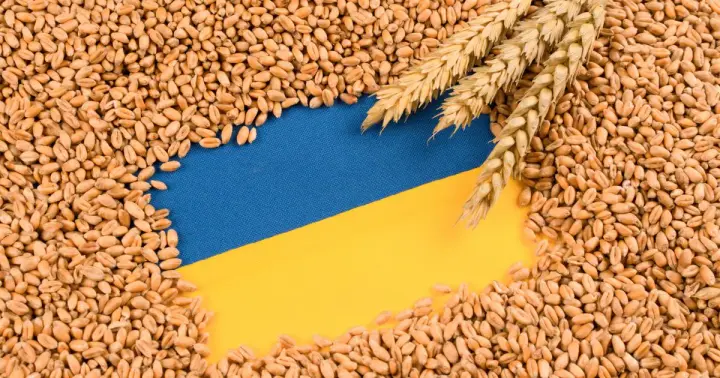 Ukraine Sets New Steps to Shield Grain Shipments