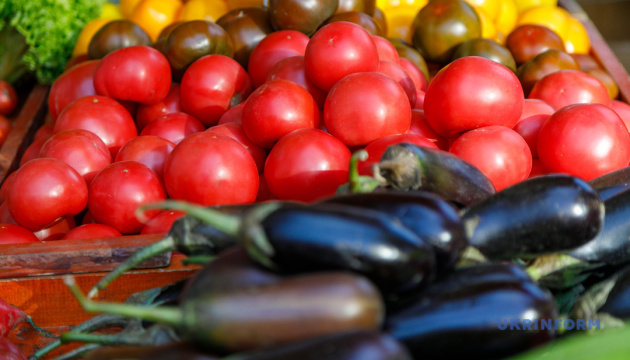 EU Nations Supply Over Half of Ukraine’s Farm Imports