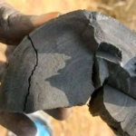 Kenya Charcoal Prices Hit 78 Month High