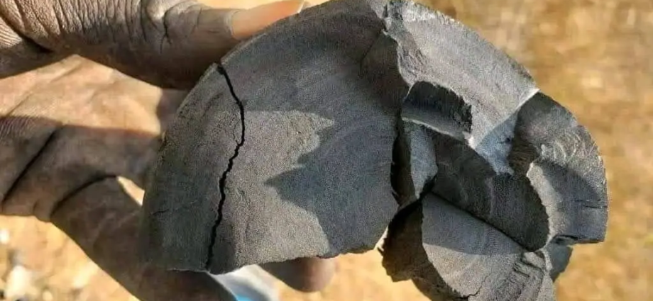 Kenya Charcoal Prices Hit 78 Month High