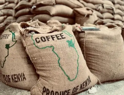Kenya Coffee Auction Nets $6.4 Million in Weekly Sale