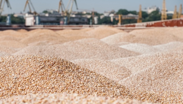 Moscow Aims to Choke Ukraine’s Overland Exports