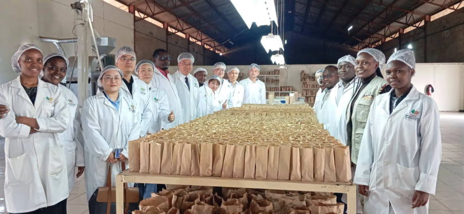 Nairobi Coffee Exchange - Large Buyers Control 85% of Kenya Coffee Trade