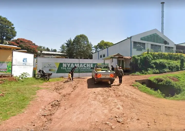 Nyamache Tea Factory Revival Gets Government Backing Worth $1.9 Million