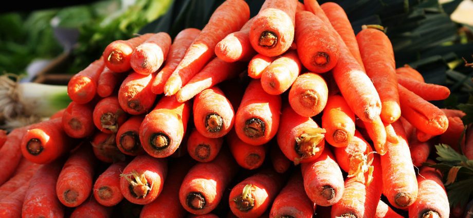 Oversupply Drives Down Ukraine Carrot Prices in August