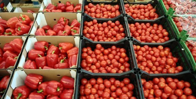 Ukraine Greenhouse Tomato Prices Slide 25% Below Last Year