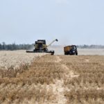 Ukraine's Central Poltava Region Gathers First Million Tonnes of Wheat