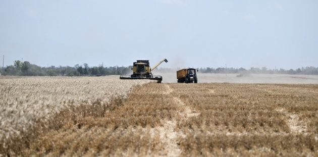 Ukraine's Central Poltava Region Gathers First Million Tonnes of Wheat
