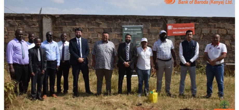 Bank of Baroda Administrators Ordered Out of Infinity Industrial Park