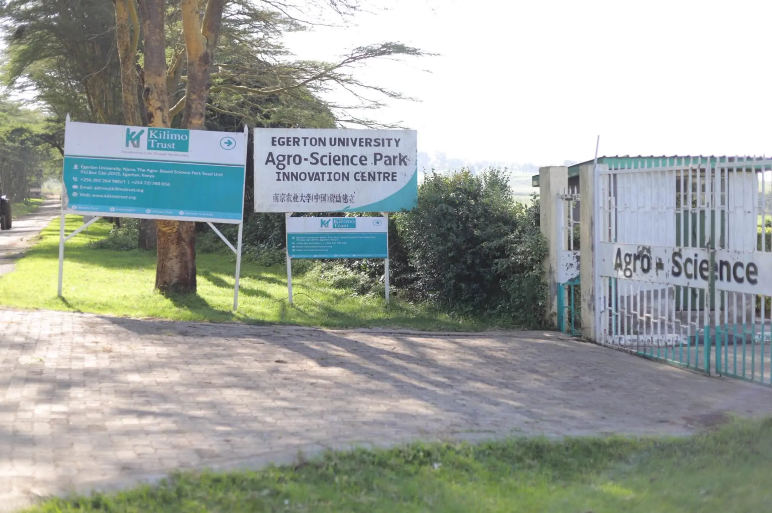 Egerton Agro-Science Park Marks Decade of Innovation - Egerton Releases New Bean and Groundnut Seeds