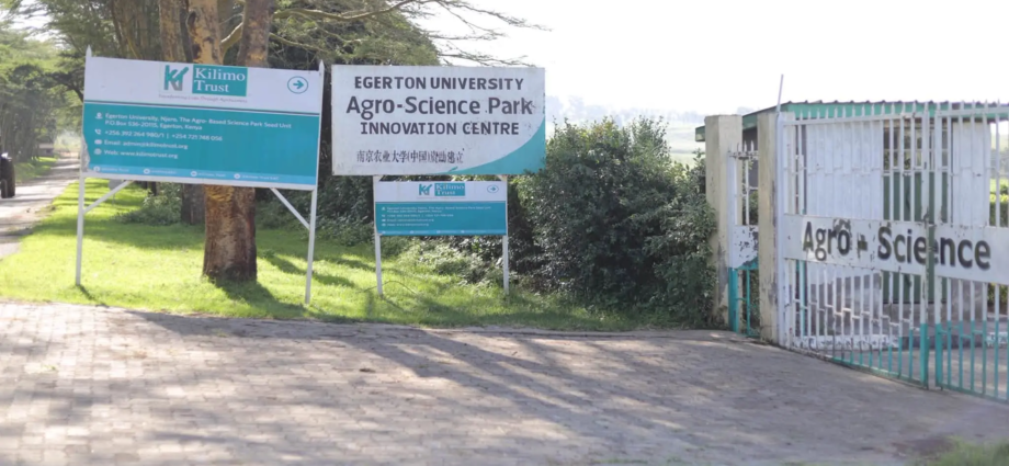 Egerton Agro-Science Park Marks Decade of Innovation - Egerton Releases New Bean and Groundnut Seeds
