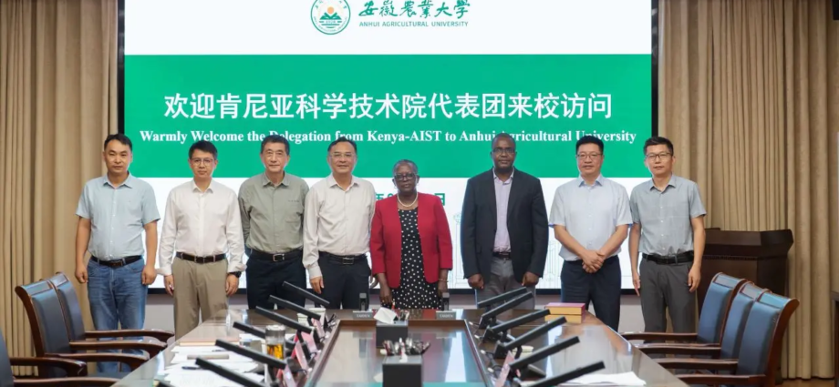 Kenya Court Battle Looms Over Chinese Tax Exemptions