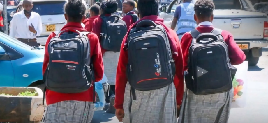 Kenya Education Projects Hit by Delays and Funding Gaps