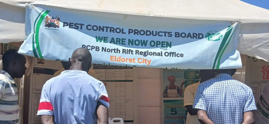 Kenya Experts Warn Pesticide Overuse Hurts Food and Soil