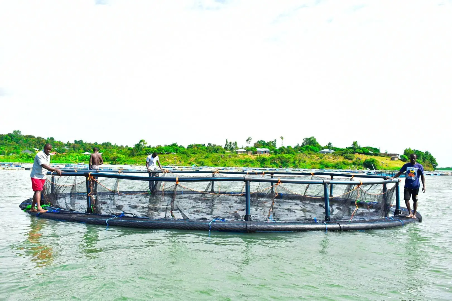 Kenya Fish Farmers Appeal KES50,000 Licence Fee Ruling
