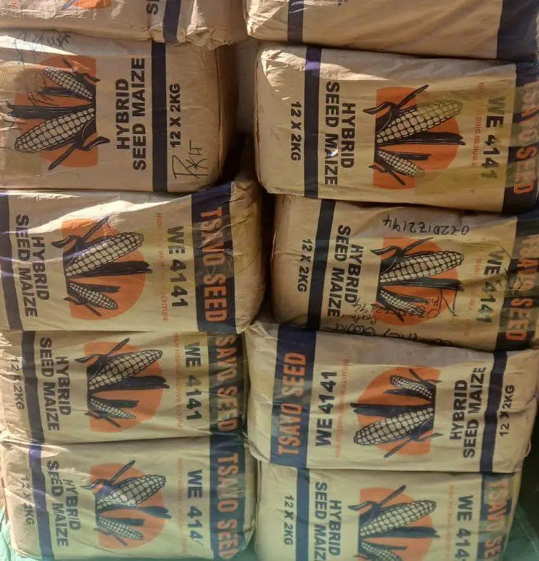 Kenya Seeks Aflatoxin Free Maize from Uganda