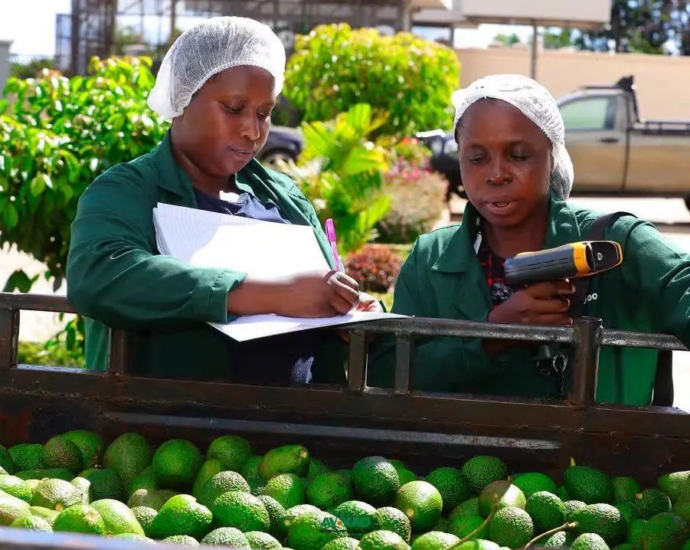 Kenyan Avocado Exporter Karakuta Plans NSE Listing by Year End