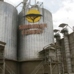 Savannah Heights Challenges Kenya High Court Ruling in $35 Million Loan Case