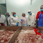 Value Addition Drives Kenya Fish Industry Growth