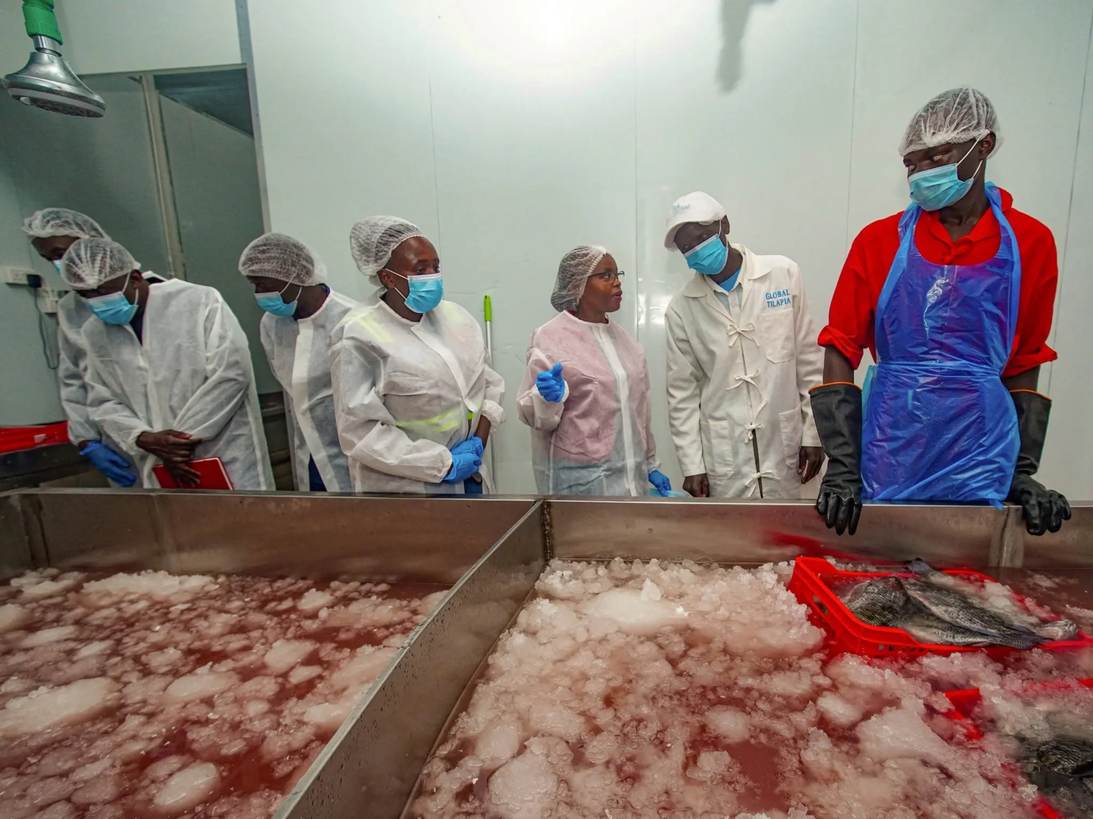 Value Addition Drives Kenya Fish Industry Growth