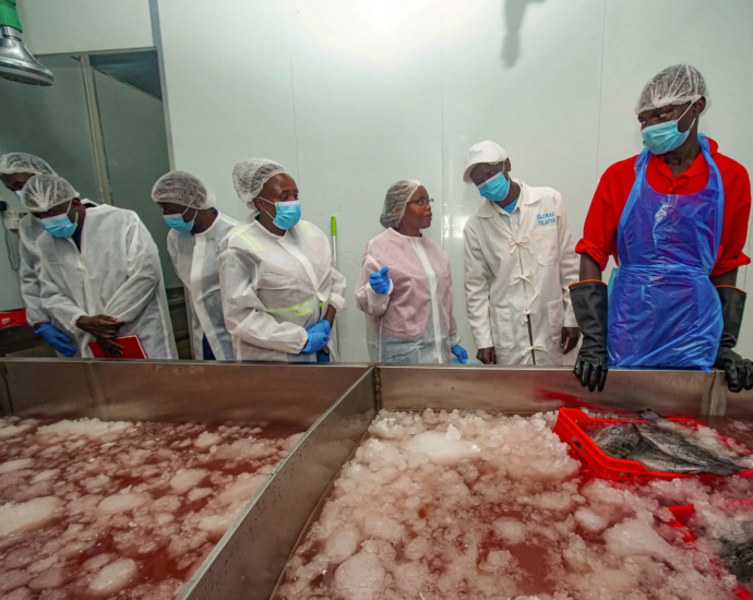 Value Addition Drives Kenya Fish Industry Growth