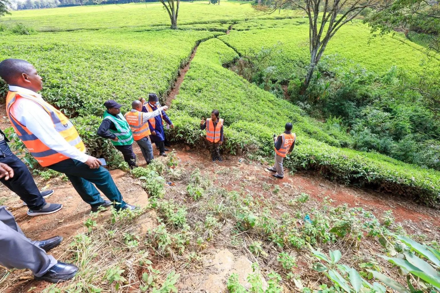 Kenya Economy Defies Iran War and Weak Rains