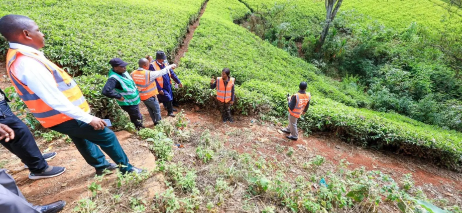 Kenya Economy Defies Iran War and Weak Rains