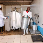 Kenya Milk Rationing Hits Households as Prices Rise