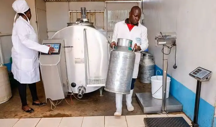 Kenya Milk Rationing Hits Households as Prices Rise