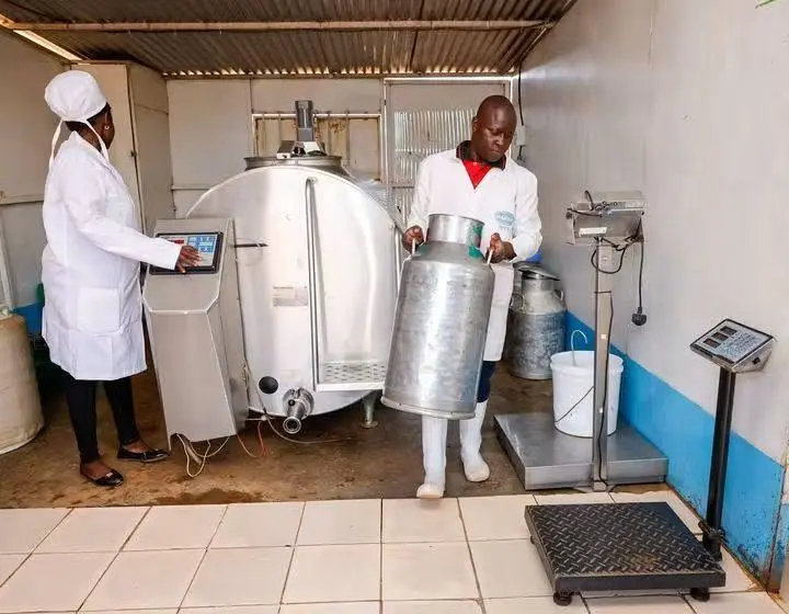 Kenya Milk Rationing Hits Households as Prices Rise