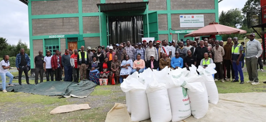 Kenya Targets Cartels With Grain Warehouse Reforms