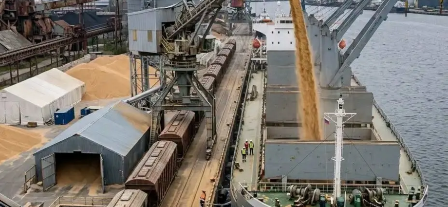 Russian Arms Exports to Kenya Dry Up as Wheat Trade Surges