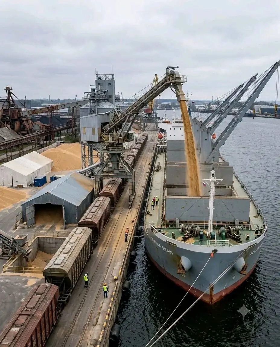 Russian Arms Exports to Kenya Dry Up as Wheat Trade Surges