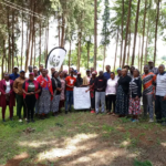 World Bank, Green Climate Fund Back Kenya Forest Economy with $229 Million