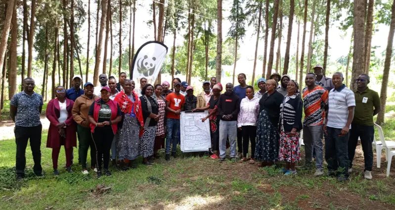 World Bank, Green Climate Fund Back Kenya Forest Economy with $229 Million