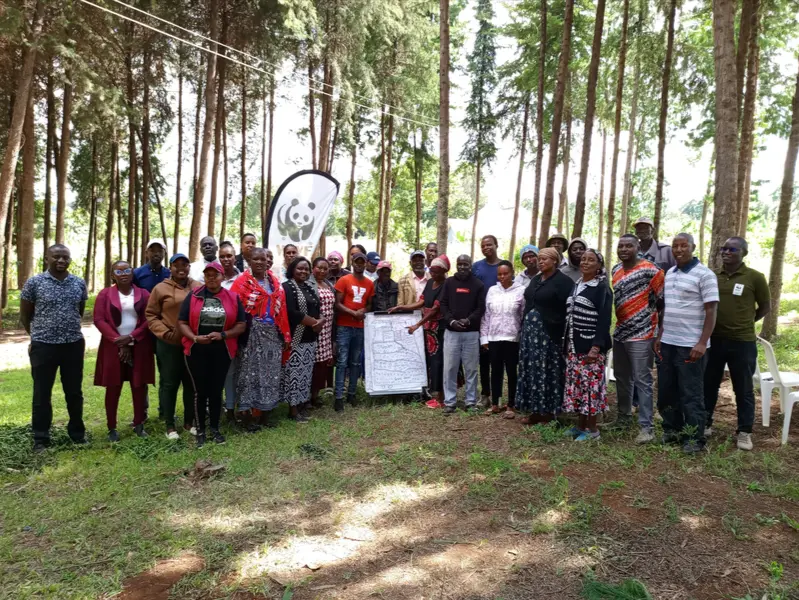 World Bank, Green Climate Fund Back Kenya Forest Economy with $229 Million